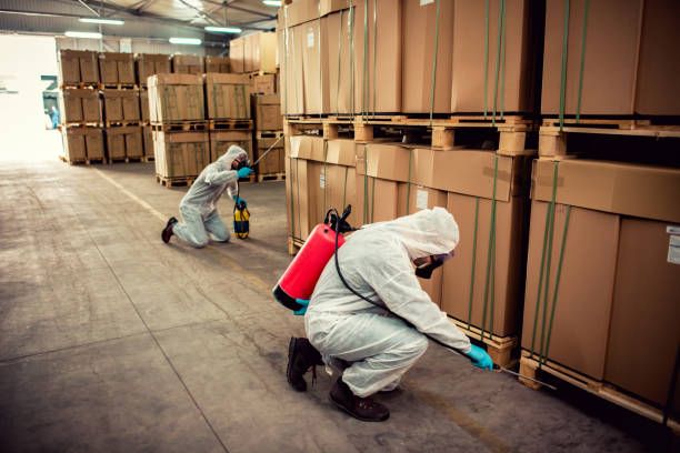Best Flea Control Services  in Eaton, OH