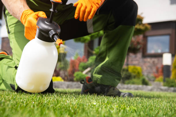 Best Mosquito Control Services  in Eaton, OH