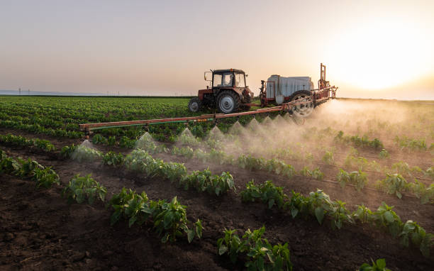 Pest Prevention Services in Eaton, OH