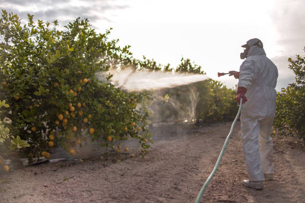 Best Pest Inspection Near Me  in Eaton, OH