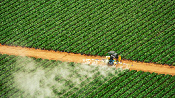Best Ant Control Services  in Eaton, OH