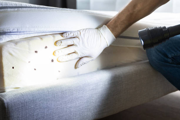 Best Pest Removal Services  in Eaton, OH