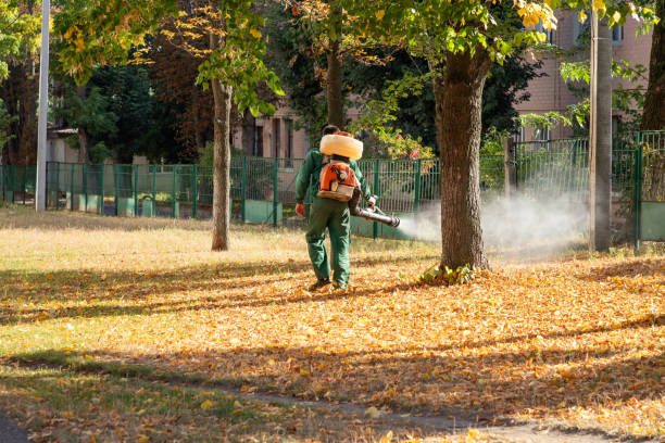 Flea Control Services in Eaton, OH