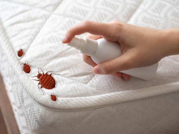 Best Pest Inspection Near Me  in Eaton, OH