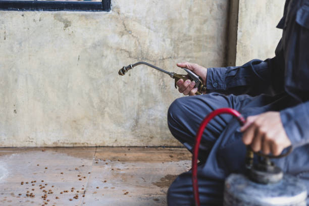 Best Wasp Removal Services  in Eaton, OH