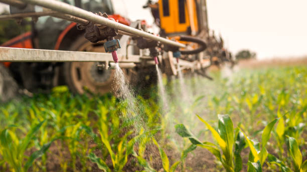 Best Mosquito Control Services  in Eaton, OH